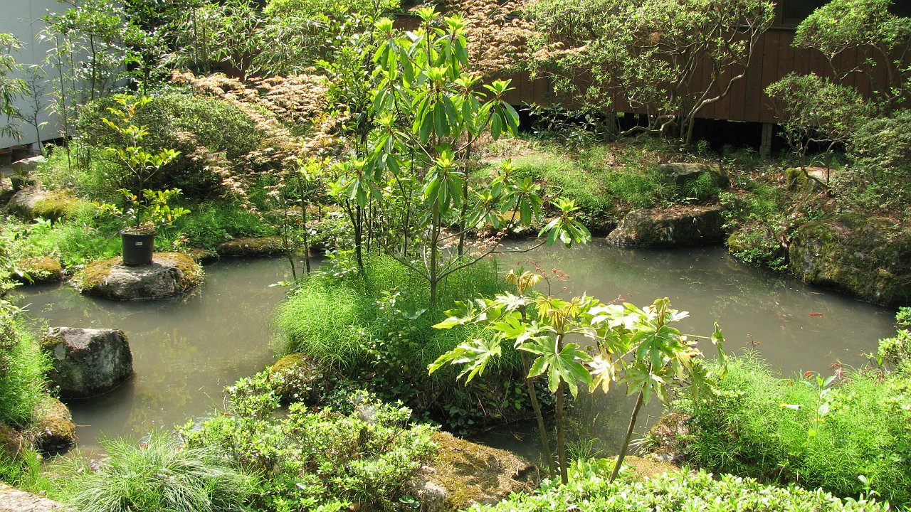 shiroishi temple pond.jpg